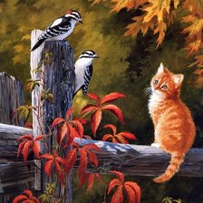 Схема вышивки «№627551»