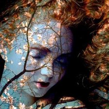 Схема вышивки «№627623»