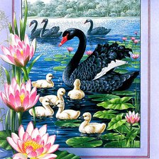 Схема вышивки «Лебеди»