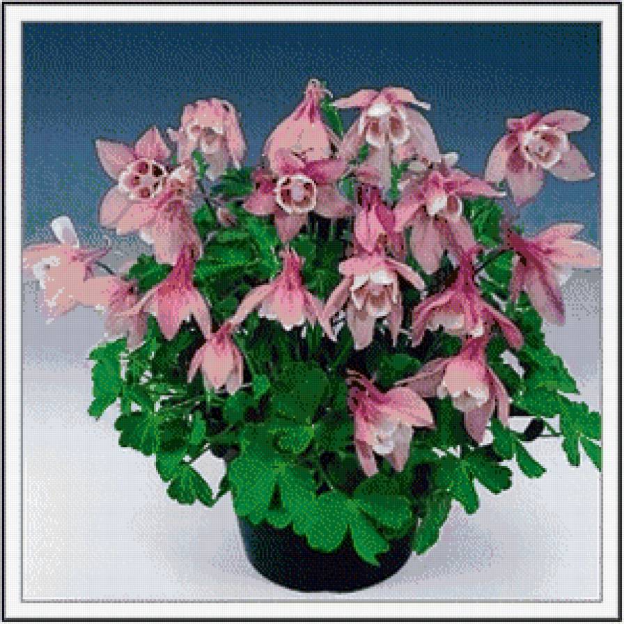 серия "цветы" - цветы - предпросмотр