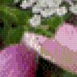 Предпросмотр схемы вышивки «серия "цветы"» (№627708)