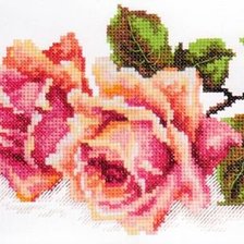 Схема вышивки «№627777»