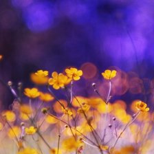 Схема вышивки «1»