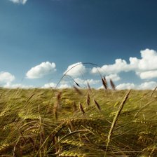 Схема вышивки «2»