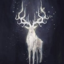 Схема вышивки «Драй»