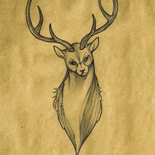 Схема вышивки «Фирт»