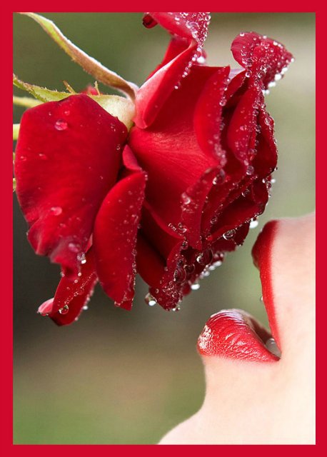 королевы - природа, цветы, девушка, люди, роза - оригинал