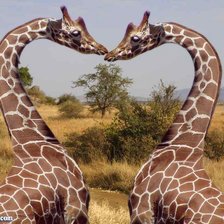 Схема вышивки «люблю тебя!»