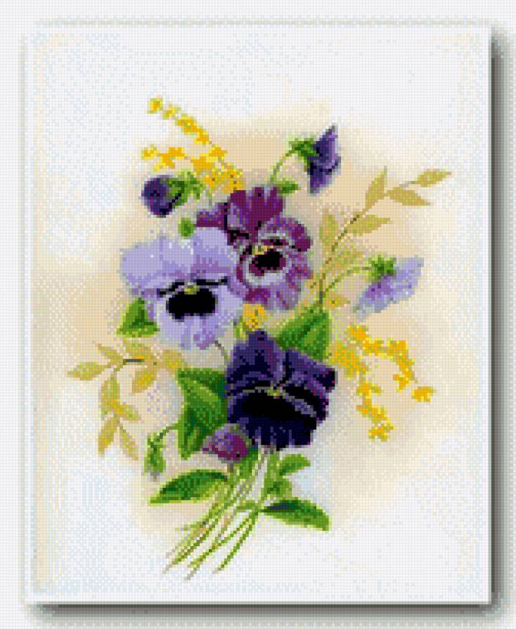 анютыны глазки - виола, букет, цветы, анютыны глазки - предпросмотр