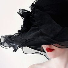 Схема вышивки «в черной шляпе2»