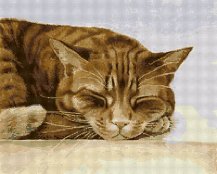 рыжик - предпросмотр