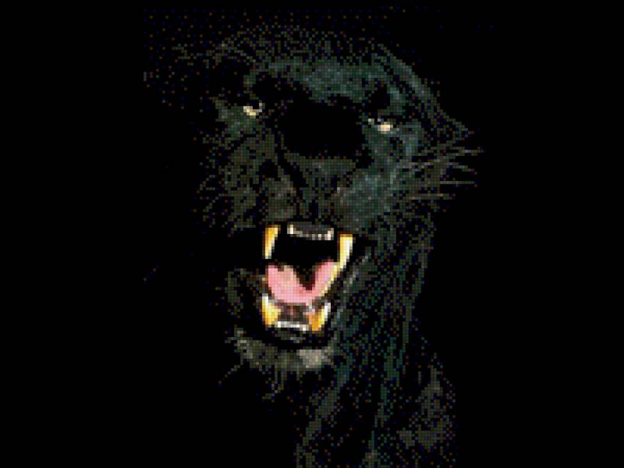 защита - дикая. кошка.пума.пантера.джунгли - предпросмотр