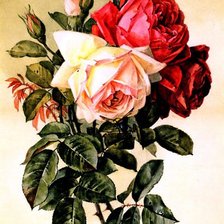 Схема вышивки «№628169»