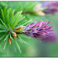 Схема вышивки «№628179»