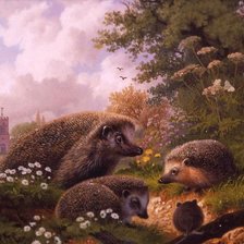 Схема вышивки «Putten»