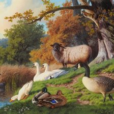 Схема вышивки «Putten»