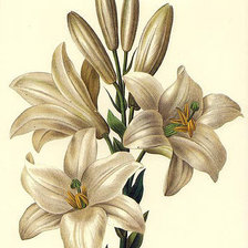 Схема вышивки «Из цикла миниатюры.»