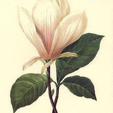 Схема вышивки «Из цикла миниатюры.»