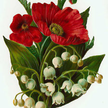 Схема вышивки «Красное с белым.»