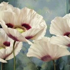 Схема вышивки «Белые маки 2»