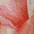 Предпросмотр схемы вышивки «роза» (№628699)