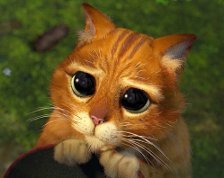 Схема вышивки «кот»