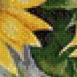 Предпросмотр схемы вышивки «подсолнухи» (№628853)
