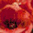 Предпросмотр схемы вышивки «маки на окне» (№628878)