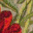 Предпросмотр схемы вышивки «маки» (№628906)