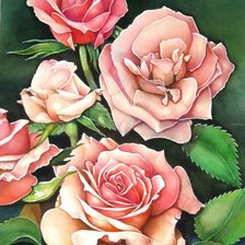 Схема вышивки «Розы»