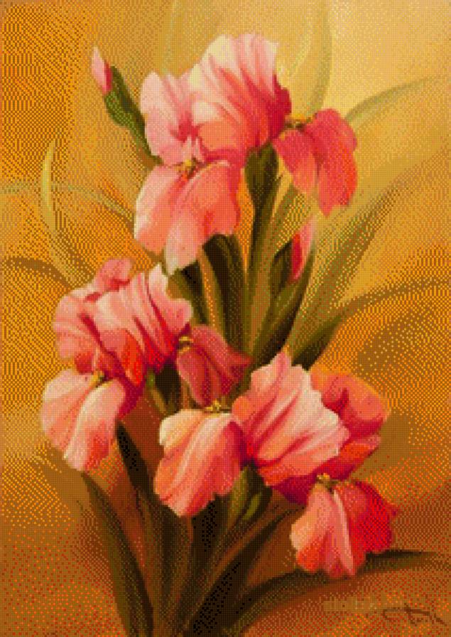 красные ирисы - цветы - предпросмотр