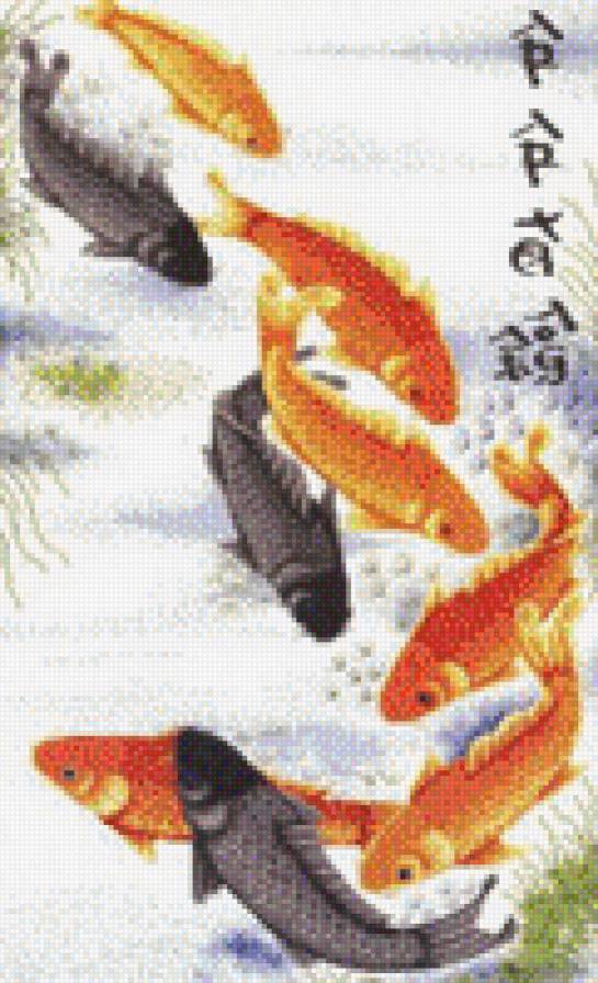 Карпы - предпросмотр