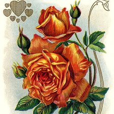 Схема вышивки «№629265»