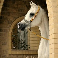 Схема вышивки «№629269»