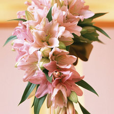 Схема вышивки «№629300»