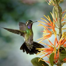 Схема вышивки «№629308»