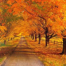 Схема вышивки «№629310»