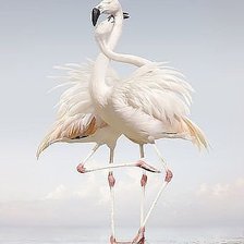 Схема вышивки «№629319»