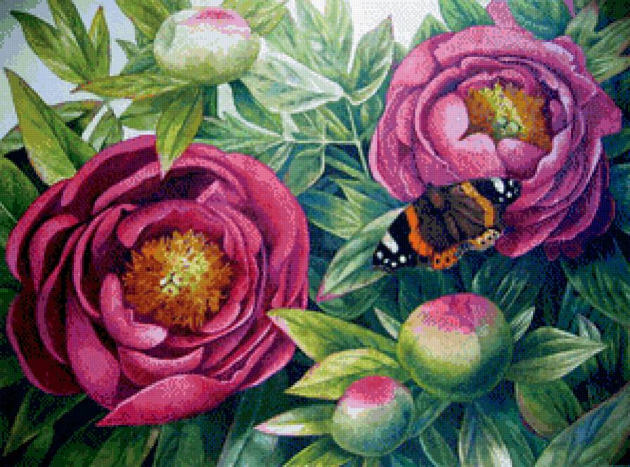 пионы с бабочкой - цветы, букет, весна, бабочка, пионы - предпросмотр