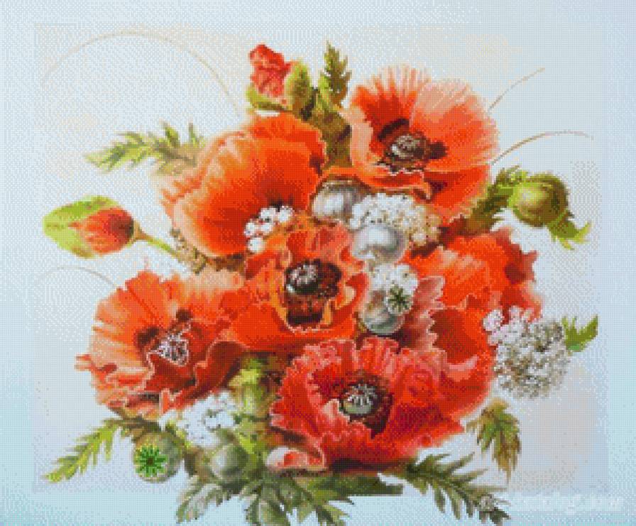 маки - маки, цветы, лето - предпросмотр