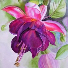 Схема вышивки «цветок фуксии»