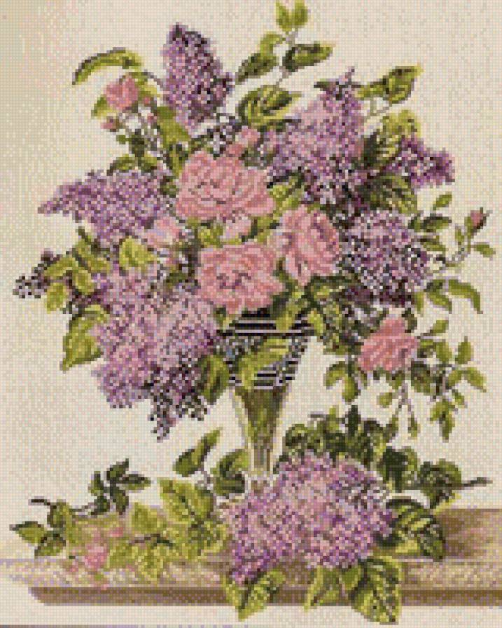 сирень - предпросмотр