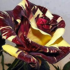 Схема вышивки «роза Кроненбург»