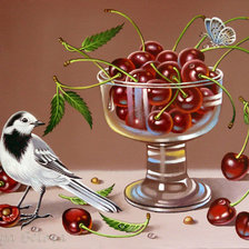 Схема вышивки «Вишни и трясогузка»