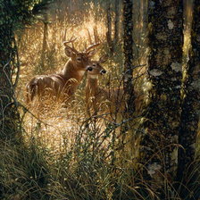 Схема вышивки «олени в лесу»
