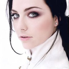 Схема вышивки «Evanescence»