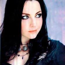 Схема вышивки «Evanescence»