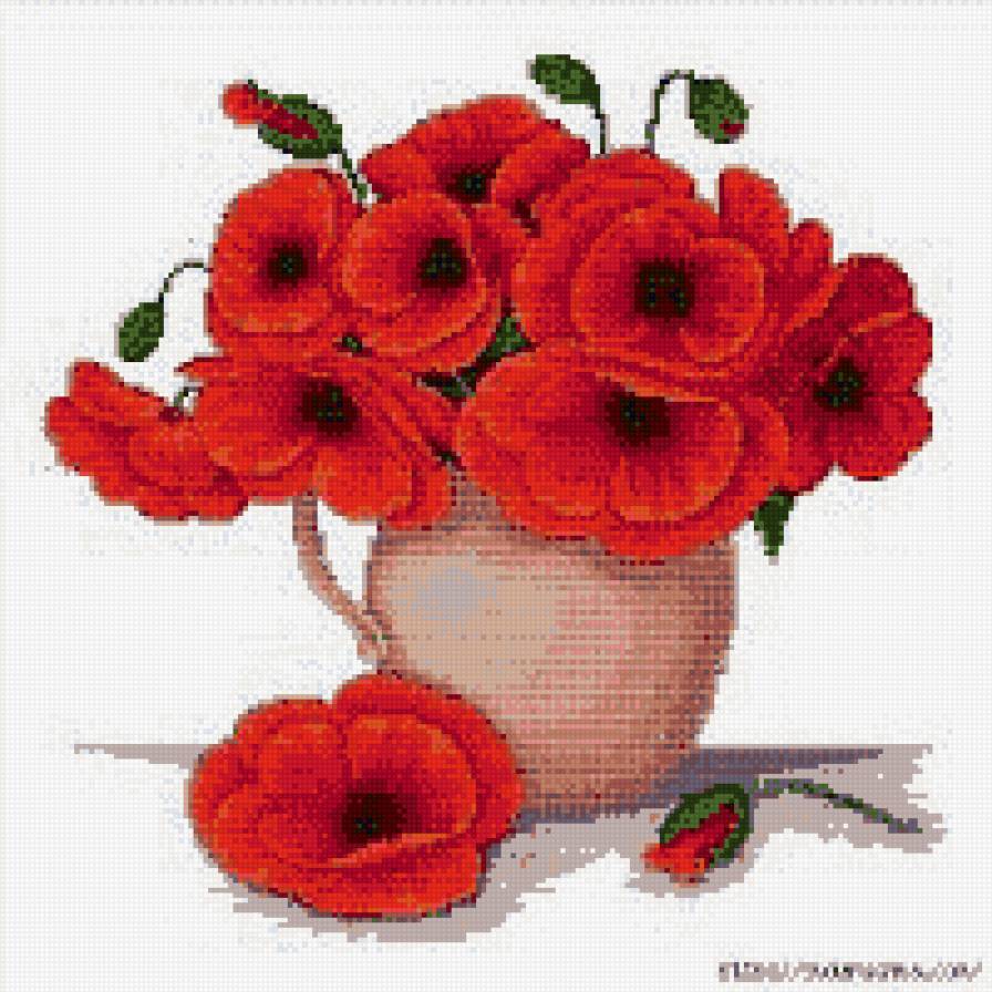 красные маки - букет, цветы - предпросмотр