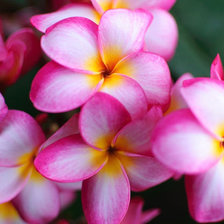 Схема вышивки «№629885»