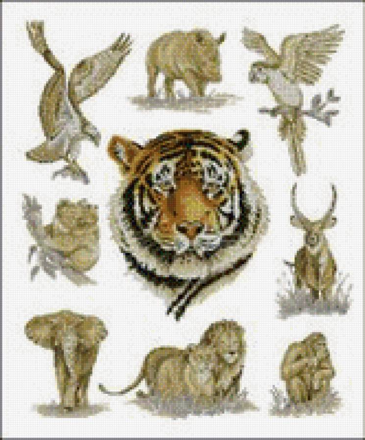 африка - животные, тигр - предпросмотр